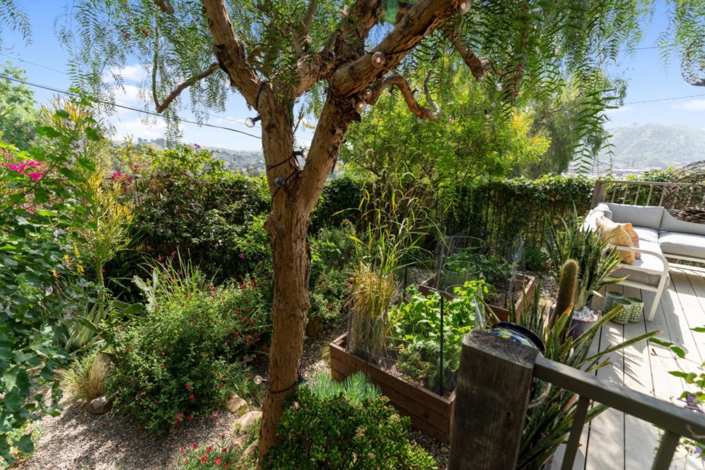 A guide to springtime gardening in north east LA